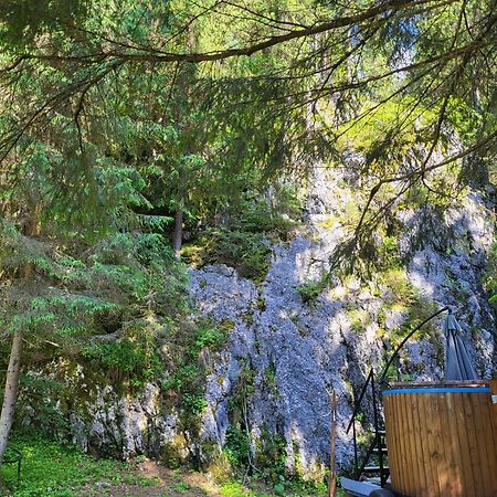 Pension Cabana Cetatile Ponorului Padis Luaran gambar