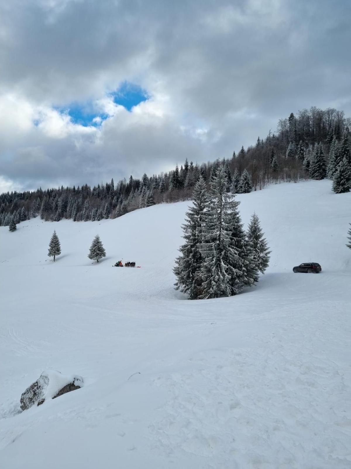 Pension Cabana Cetatile Ponorului Padis Luaran gambar