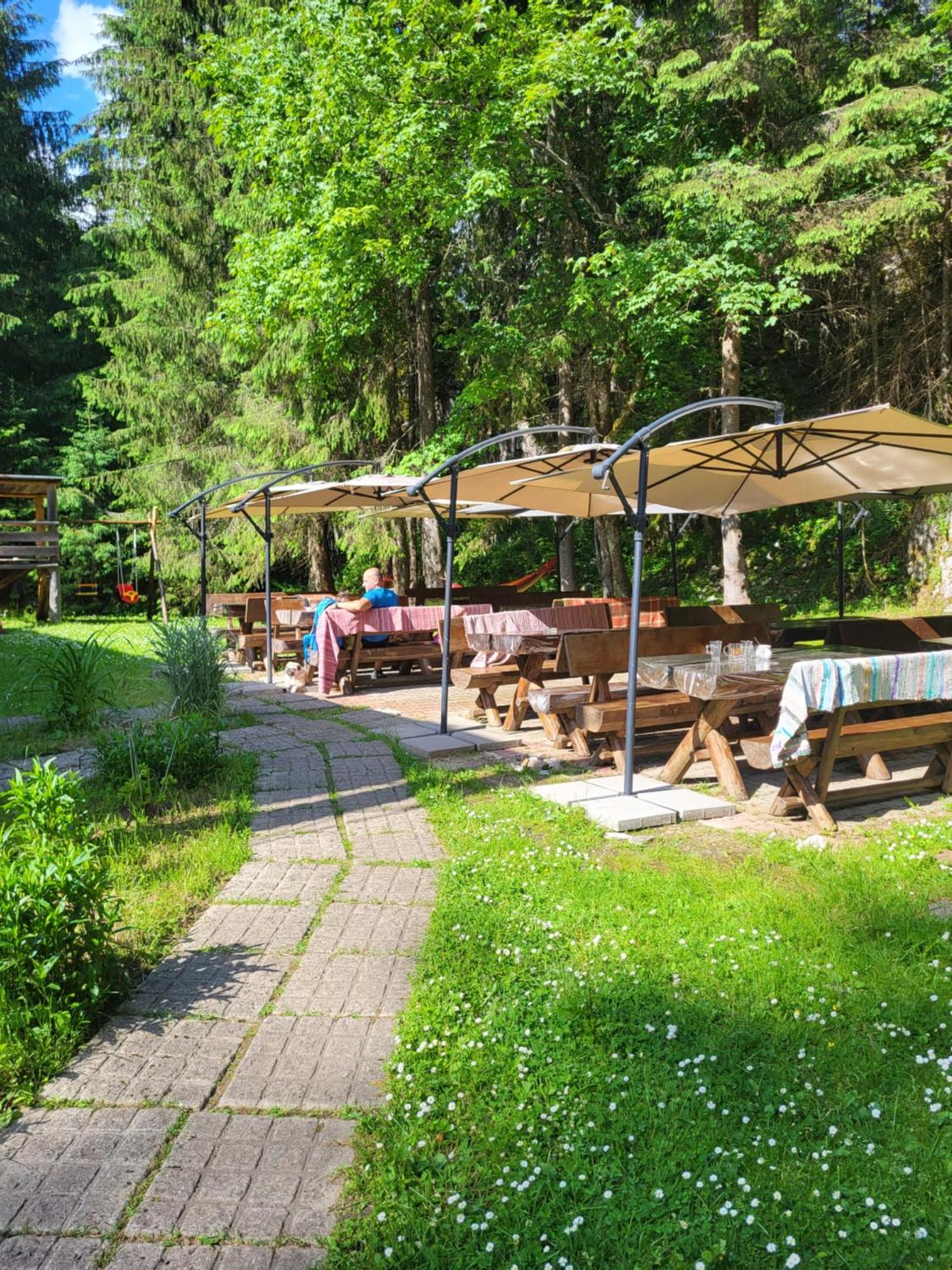 Pension Cabana Cetatile Ponorului Padis Luaran gambar