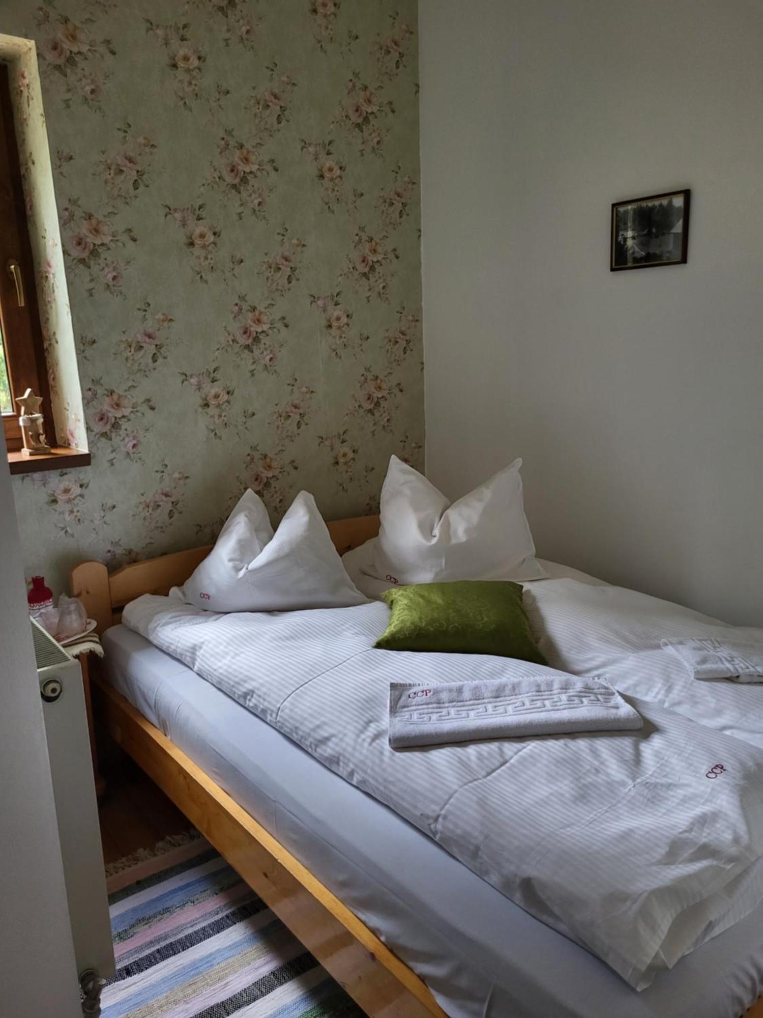 Pension Cabana Cetatile Ponorului Padis Luaran gambar