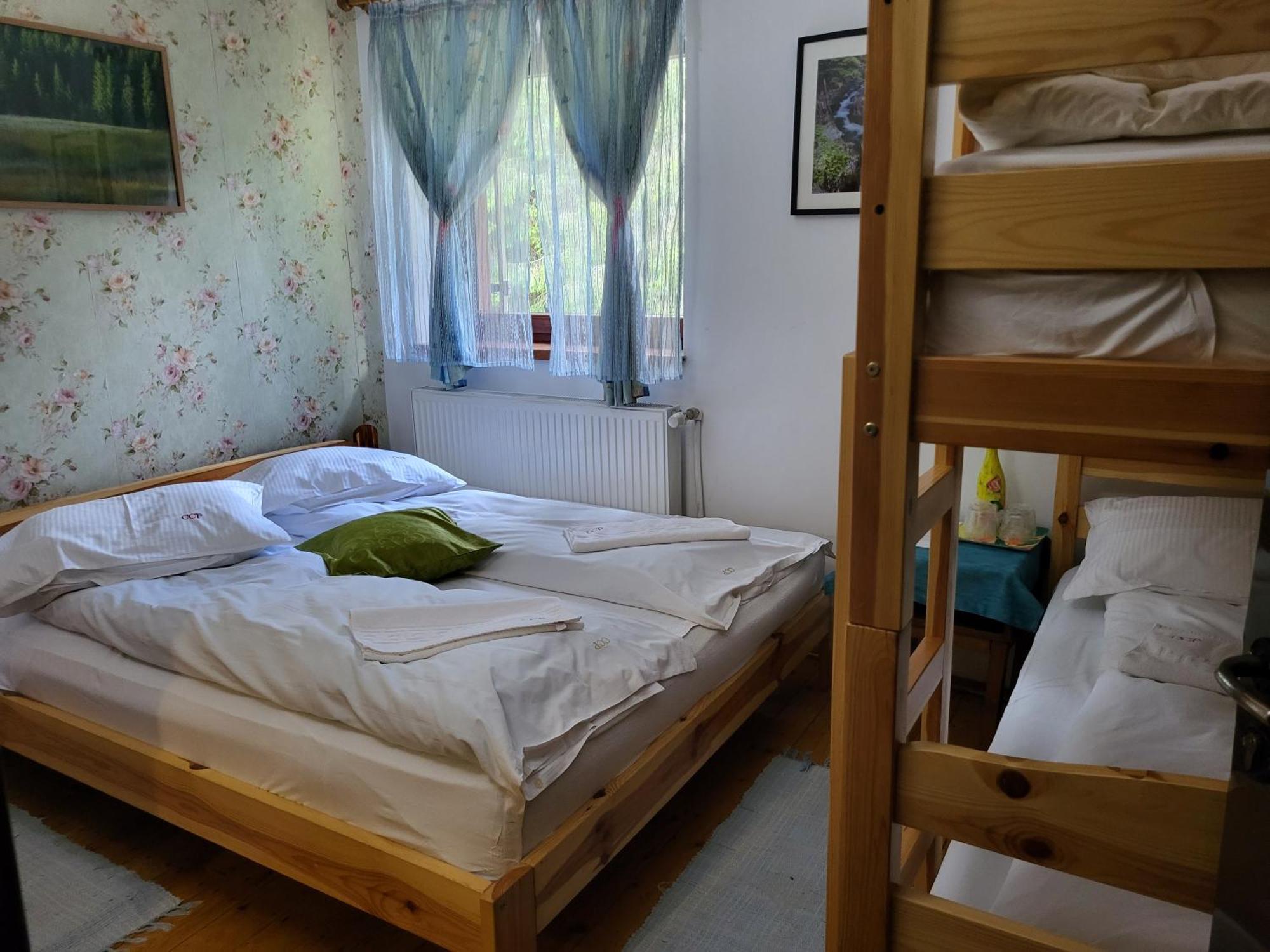 Pension Cabana Cetatile Ponorului Padis Luaran gambar