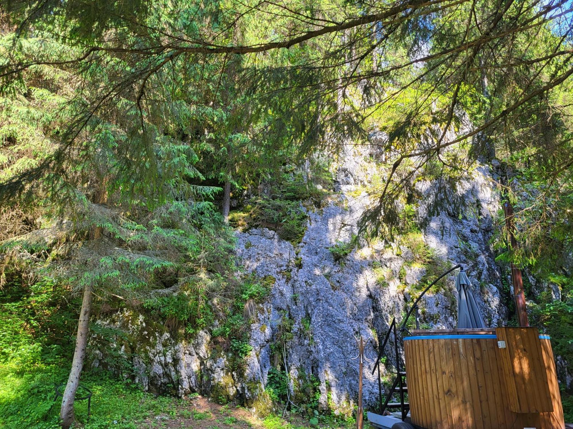 Pension Cabana Cetatile Ponorului Padis Luaran gambar