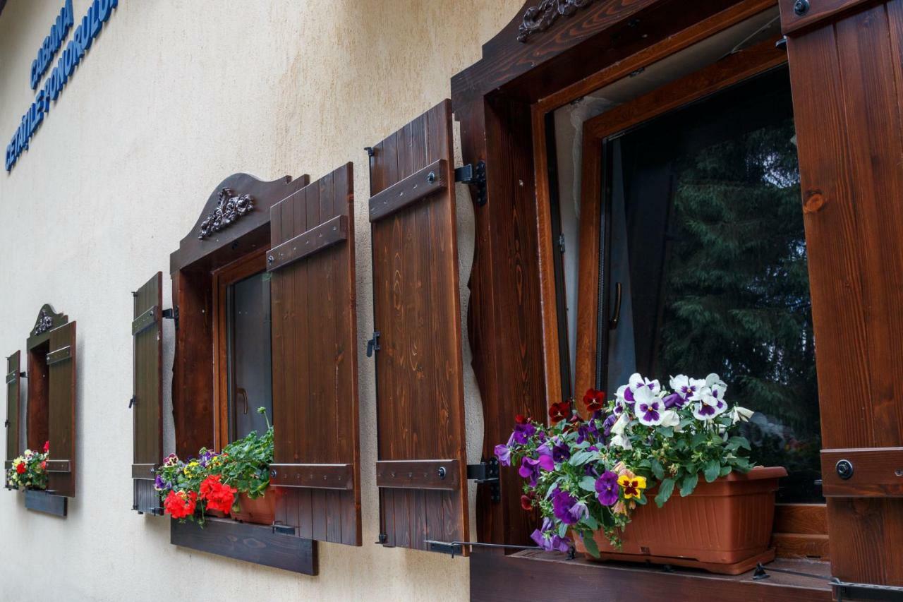 Pension Cabana Cetatile Ponorului Padis Luaran gambar